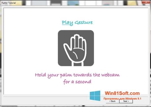 Скриншот программы Flutter для Windows 8.1