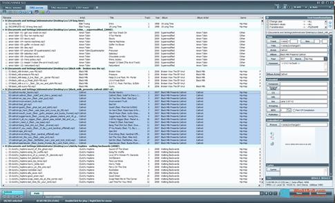 Скриншот программы TagScanner для Windows 8.1