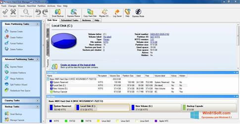 Скриншот программы Paragon Hard Disk Manager для Windows 8.1