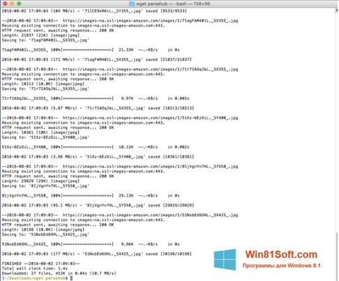 Скриншот программы Wget для Windows 8.1