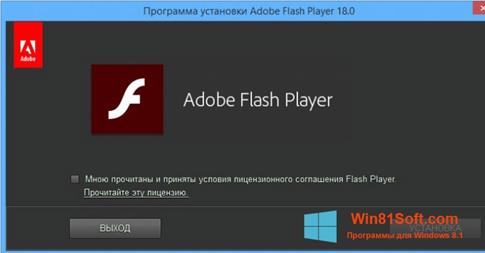 Скриншот программы Adobe Flash Player для Windows 8.1