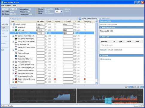 Скриншот программы NetLimiter для Windows 8.1