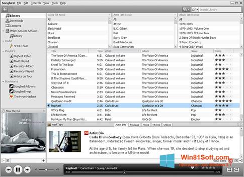 Скриншот программы Songbird для Windows 8.1