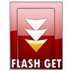 FlashGet для Windows 8.1