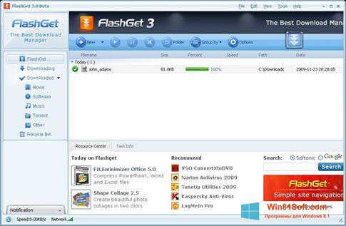 Скриншот программы FlashGet для Windows 8.1