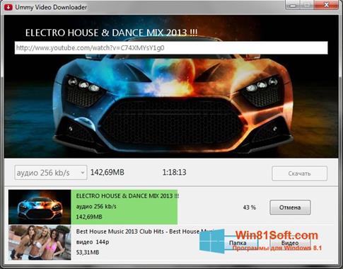 Скриншот программы Ummy Video Downloader для Windows 8.1