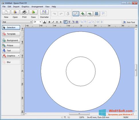 Скриншот программы EPSON Print CD для Windows 8.1