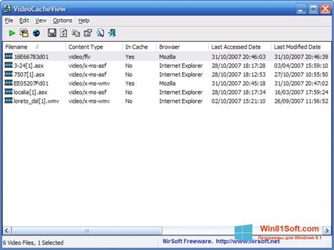 Скриншот программы VideoCacheView для Windows 8.1