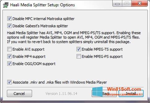 Скриншот программы Haali Media Splitter для Windows 8.1
