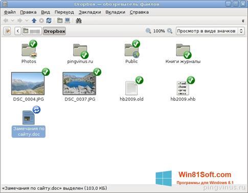 Скриншот программы Dropbox для Windows 8.1