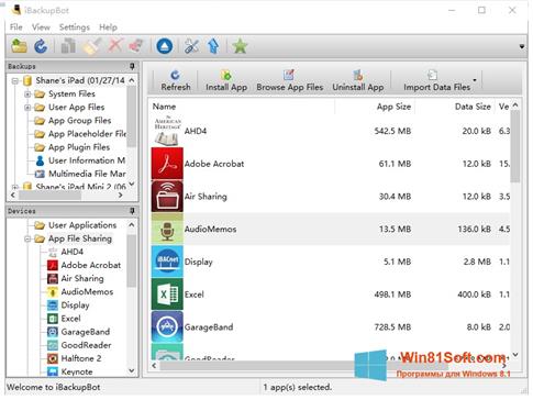Скриншот программы iBackupBot для Windows 8.1