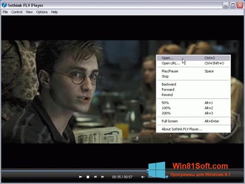 Скриншот программы FLV Player для Windows 8.1