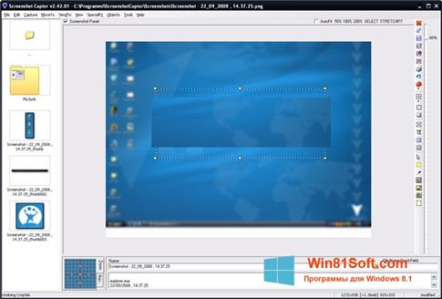 Скриншот программы ScreenShot для Windows 8.1