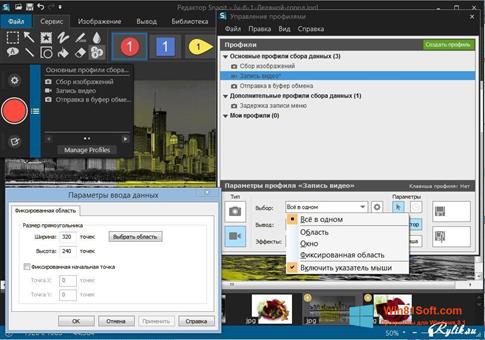 Скриншот программы Snagit для Windows 8.1