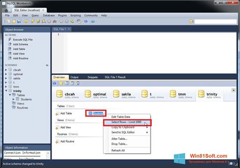 Скриншот программы MySQL Workbench для Windows 8.1