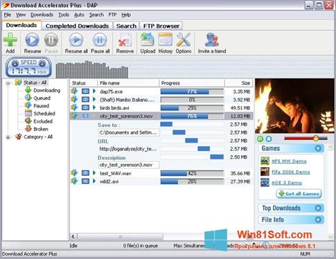 Скриншот программы Download Accelerator Plus для Windows 8.1