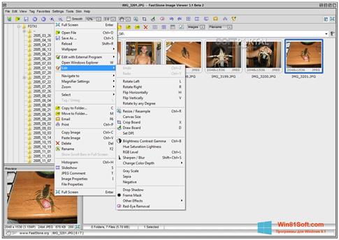Скриншот программы Faststone Image Viewer для Windows 8.1