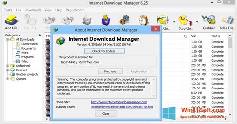 Скриншот программы Internet Download Manager для Windows 8.1