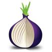 Tor для Windows 8.1