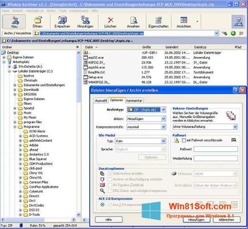 Скриншот программы WinAce для Windows 8.1