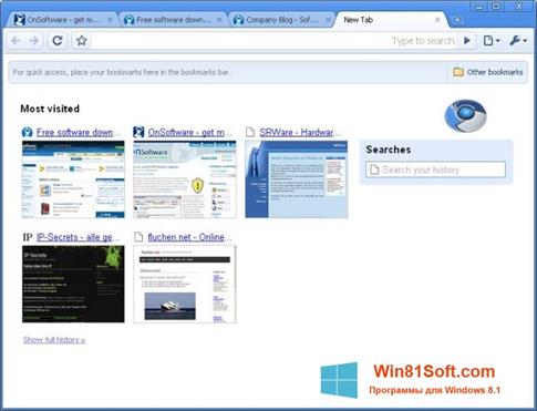 Скриншот программы SRWare Iron для Windows 8.1