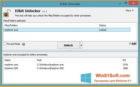 Скриншот программы IObit Unlocker для Windows 8.1