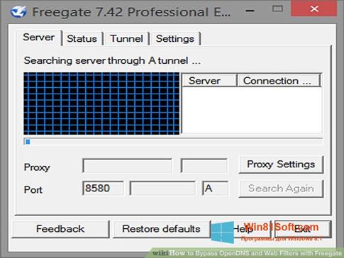 Скриншот программы Freegate для Windows 8.1