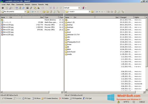 Скриншот программы WinSCP для Windows 8.1