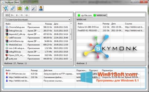 Скриншот программы SkyMonk для Windows 8.1