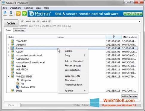 Скриншот программы Advanced IP Scanner для Windows 8.1