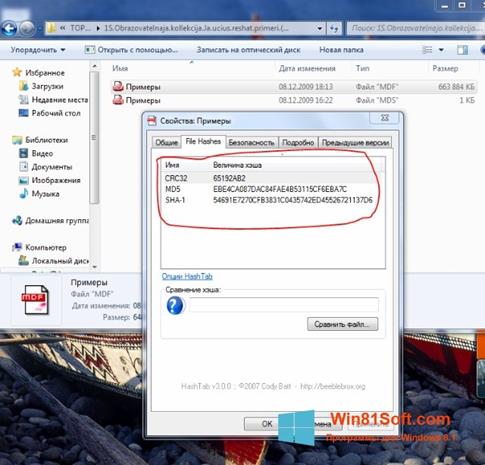 Скриншот программы HashTab для Windows 8.1